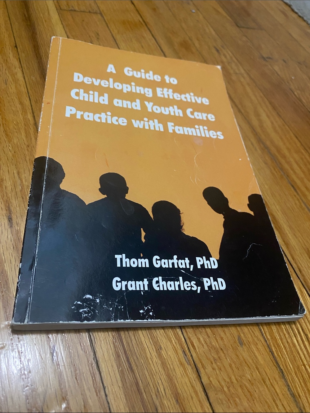 Thom Garfat Guide 2 Developing Effective Child & Youth Care Practice W Families